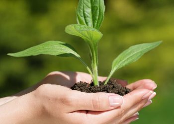 AGRORES 2025 Symposium Preliminary Program