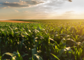 AGRORES 2026 Final Program is published